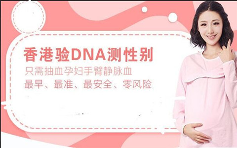 周香港验血Y-DNA检测_为你总结2021全部验血的经验"