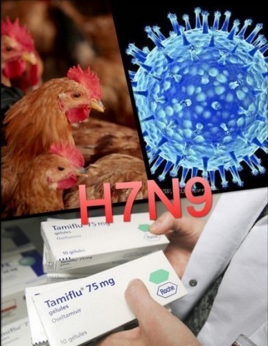 甲型h1n1流感在中国的疫情_禽流感新疫情_最新流感疫情