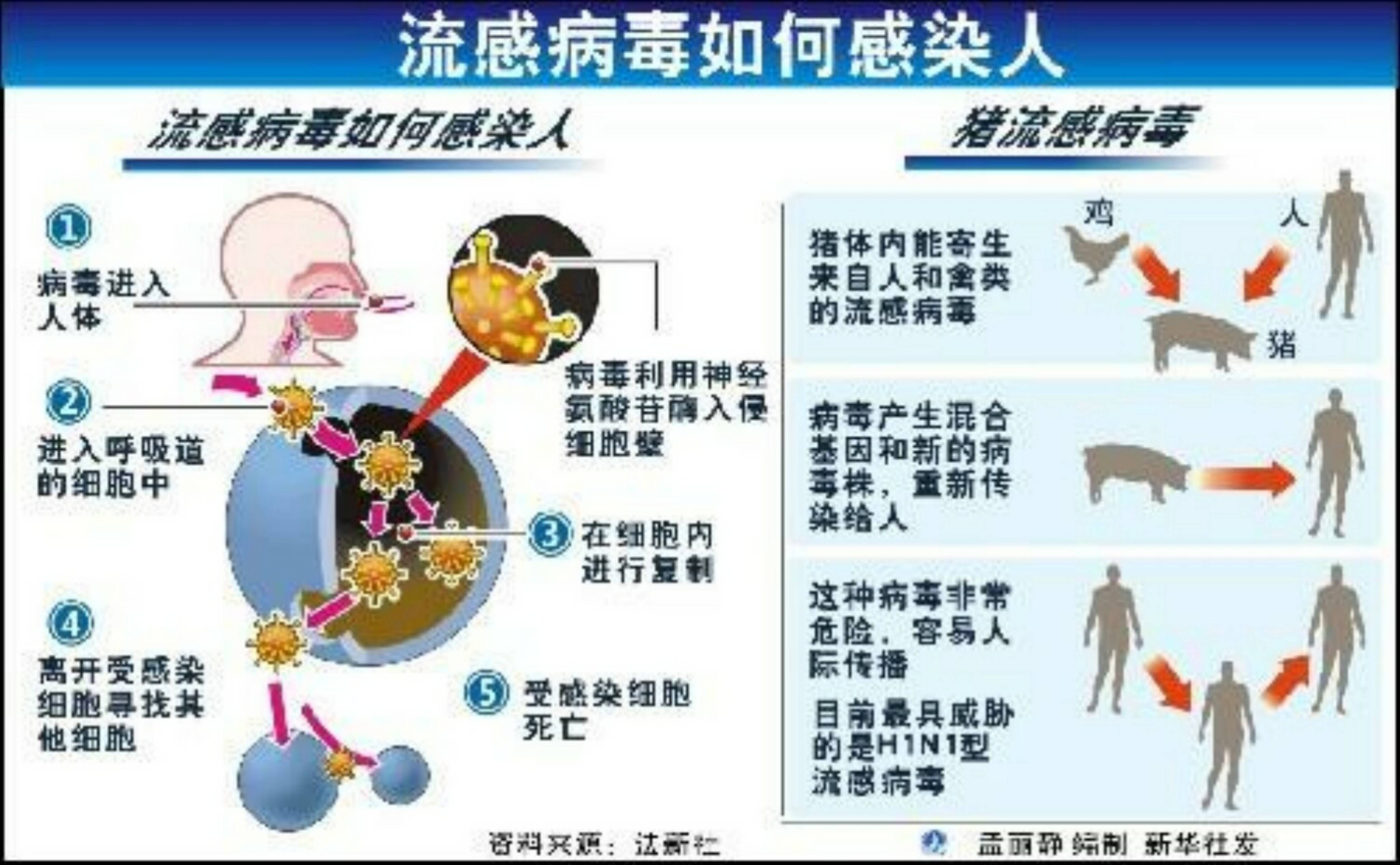 云南省华坪县鼠疫疫情监测_疫情监测分析报告_流行性感冒疫情监测主要目的