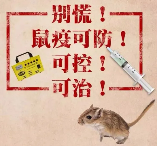 中国鼠疫疫情现状_中国国内目前疫情现状_我国鼠疫疫情