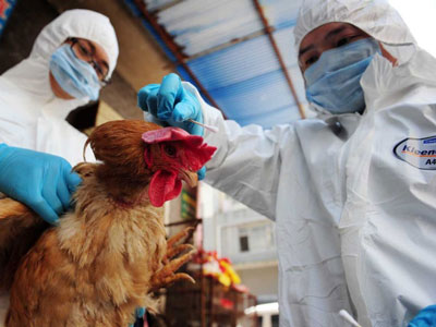 流感2016疫情_禽流感新疫情_专家称新冠疫情阻止了流感传播