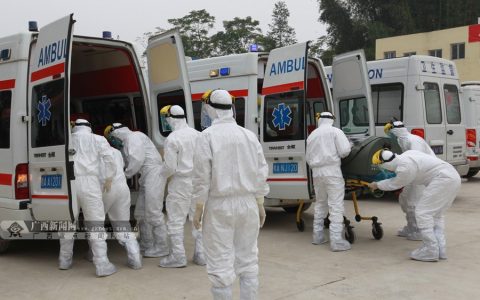 2014埃博拉疫情 世界卫生组织：“抗埃”成本近10亿美元