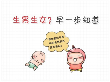 香港验血胎儿孕囊要多大_性别鉴定几周准确!
