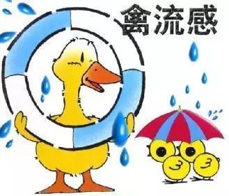 2013年4月 上海爆发了甲型h7n9流感_2014甲型流感病毒h7n9疫情动态_甲型h1n1流感疫情免费下载
